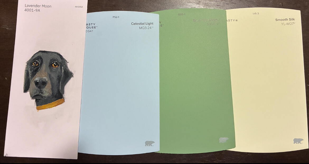 Paint Swatches