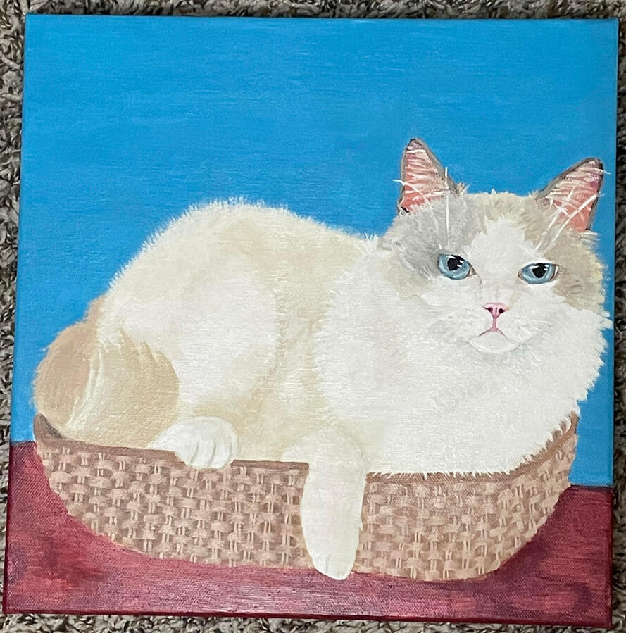 12x12"